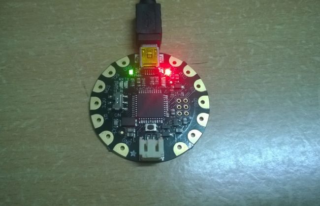 Reset button on Flora